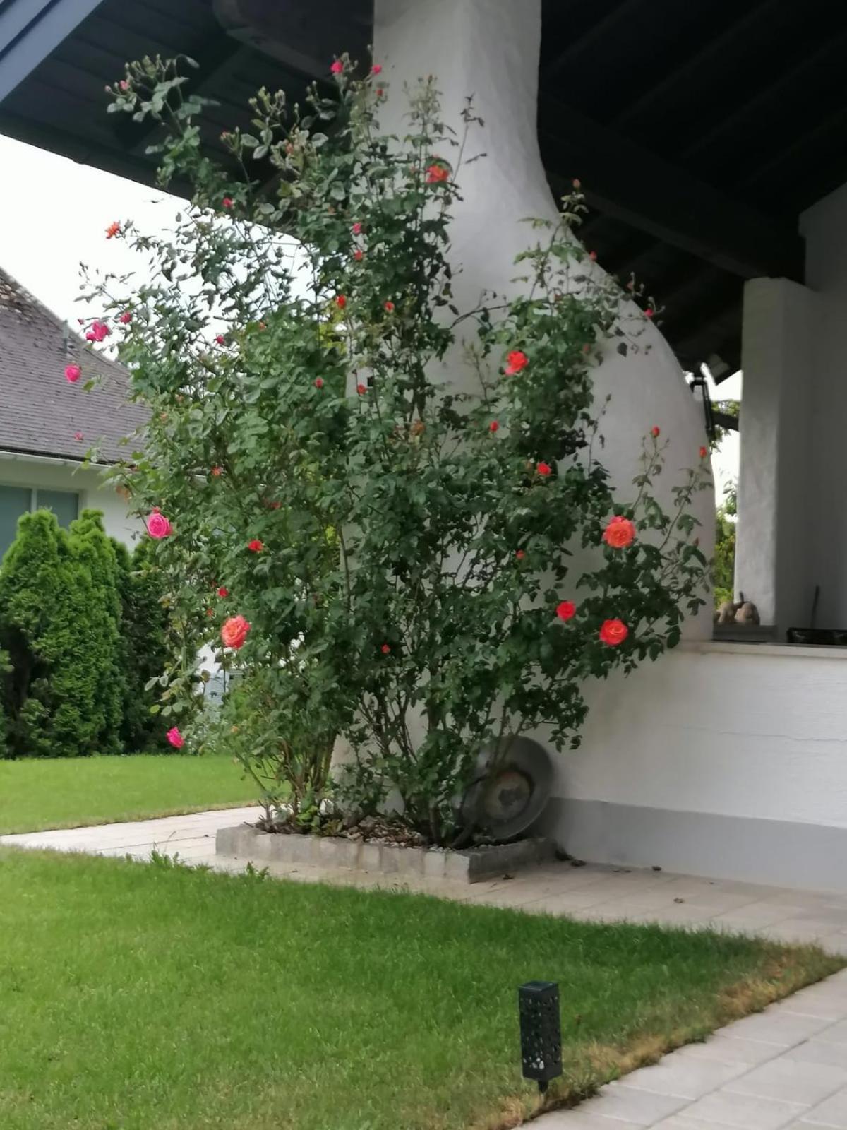 Appartment Nocksteinblick Guggenthal 外观 照片